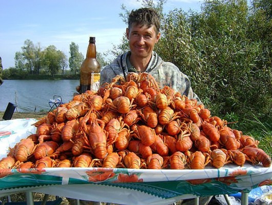 Шацкие озёра